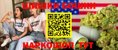 твердый Бийск