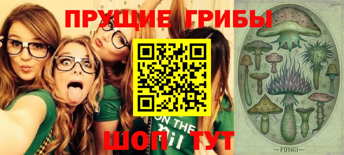Псилоцибиновые грибы Psilocybe Воркута