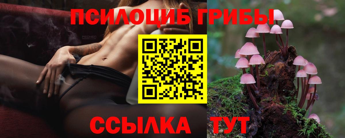 Псилоцибиновые грибы MAGIC MUSHROOMS  Вход с VPN  Воркута 